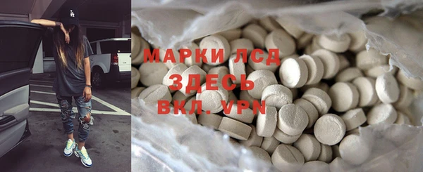 прущие грибы Аркадак