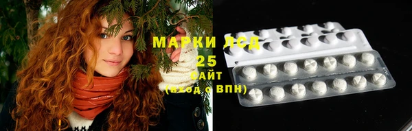 прущие грибы Аркадак