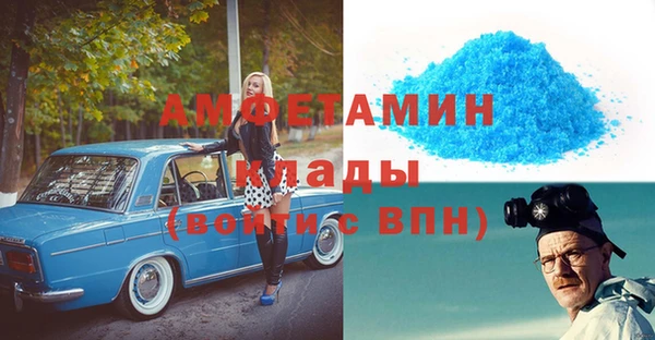 прущие грибы Аркадак