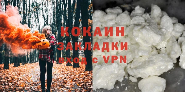 прущие грибы Аркадак